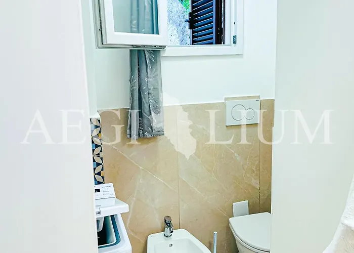 Violetta 1 * Кампезе